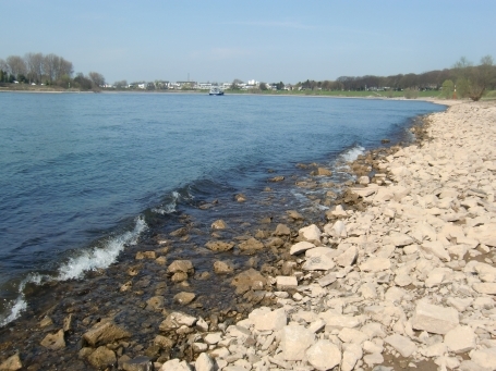 Urdenbach : Blick auf den Rhein in Urdenbach
